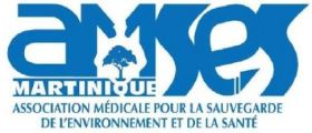 logo_amses_prsentation_congrs.jpg
